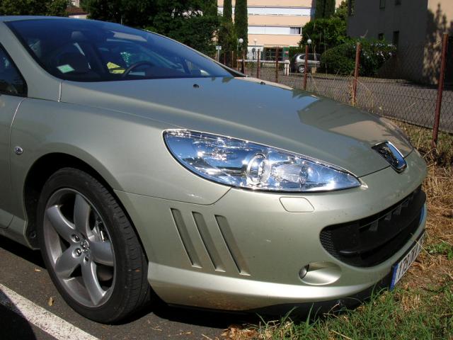 http://www.forum-peugeot.com/Forum/mesimages/10982/DSCN1658.jpg
