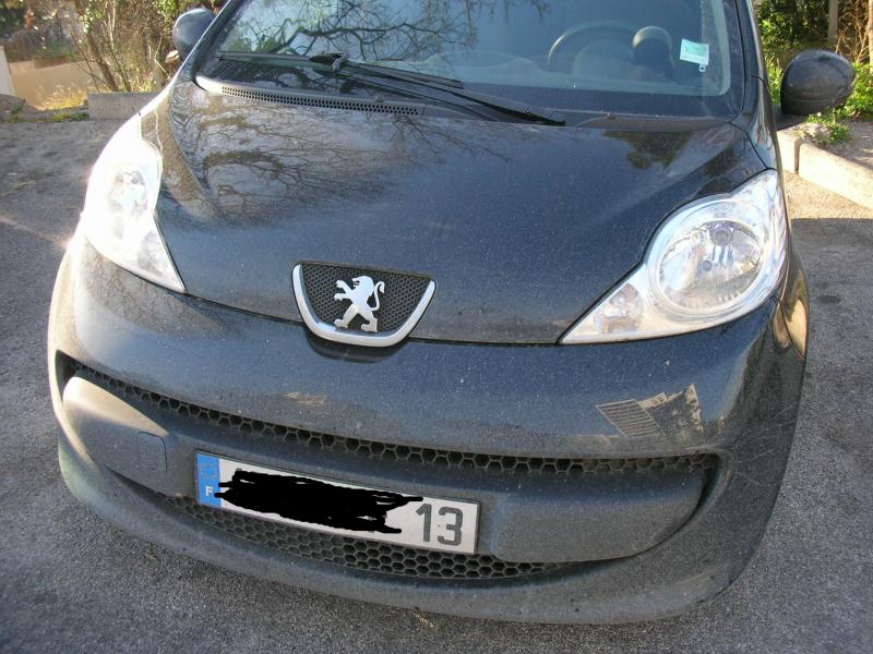 http://www.forum-peugeot.com/Forum/mesimages/12135/dscn48.jpg