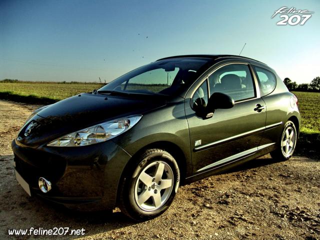 http://www.forum-peugeot.com/Forum/mesimages/13402/207.jpg