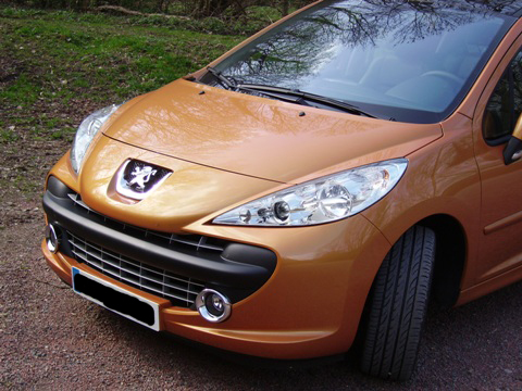 http://www.forum-peugeot.com/Forum/mesimages/15695/IMGP0700.jpg