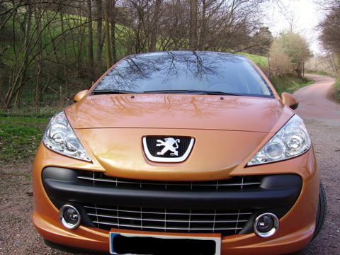 http://www.forum-peugeot.com/Forum/mesimages/15695/IMGP0702.JPG