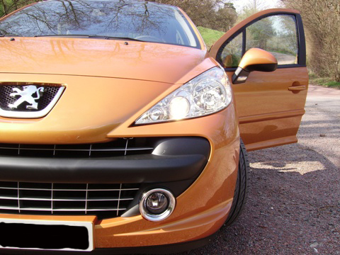 http://www.forum-peugeot.com/Forum/mesimages/15695/IMGP0711.JPG