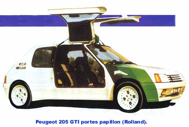 http://www.forum-peugeot.com/Forum/mesimages/16588/205papillonRolland.jpg