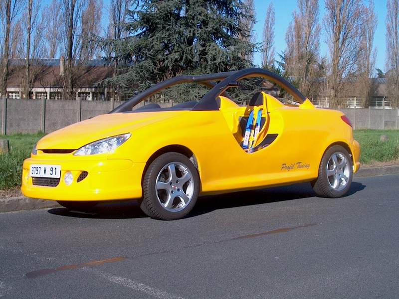 http://www.forum-peugeot.com/Forum/mesimages/16588/206CupSpiderprofiltuning.jpg