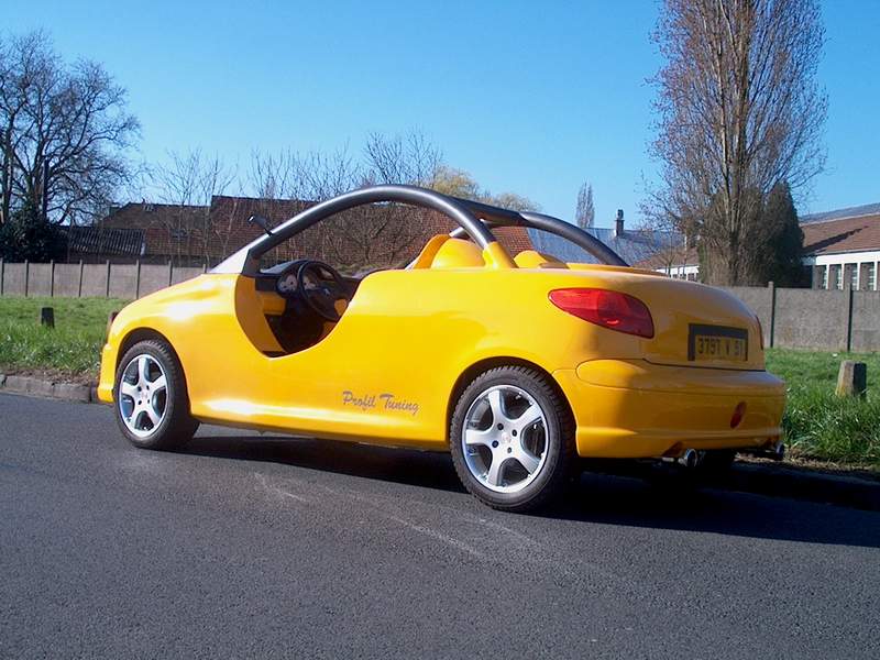 http://www.forum-peugeot.com/Forum/mesimages/16588/206CupSpiderprofiltuning02.jpg