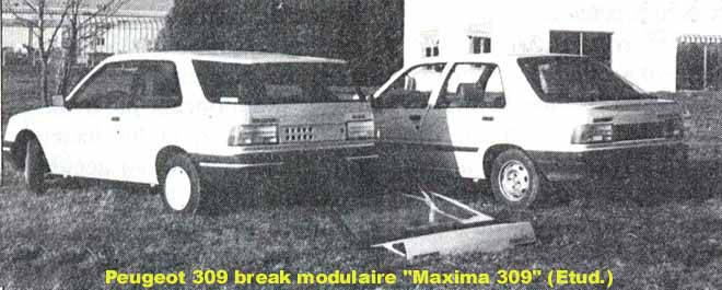http://www.forum-peugeot.com/Forum/mesimages/16588/309breakModulR.jpg