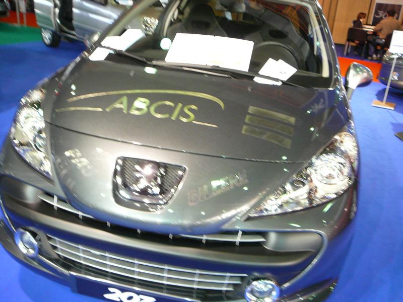 http://www.forum-peugeot.com/Forum/mesimages/18366/P1000797.JPG