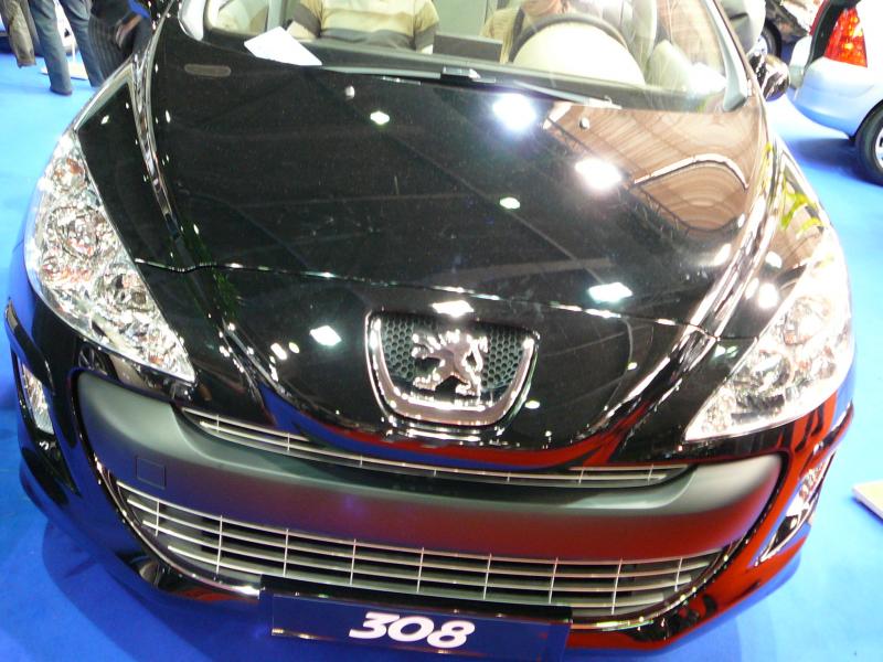 http://www.forum-peugeot.com/Forum/mesimages/18366/P1000809.JPG