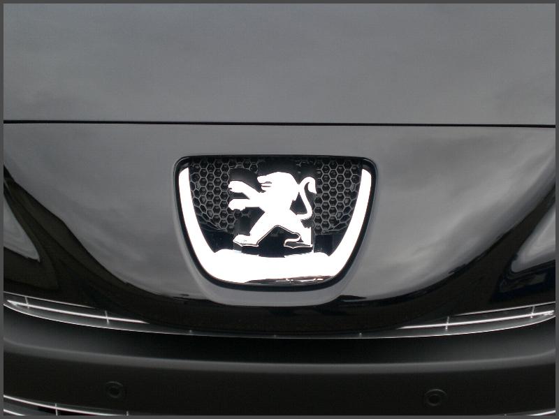 http://www.forum-peugeot.com/Forum/mesimages/20165/CIMG1179.JPG