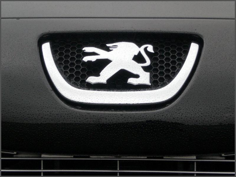 http://www.forum-peugeot.com/Forum/mesimages/20165/CIMG1229.JPG