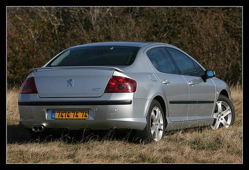 http://www.forum-peugeot.com/Forum/mesimages/20363/1779126406_65ad8c79bf2.jpg