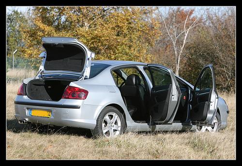 http://www.forum-peugeot.com/Forum/mesimages/20363/1779218002_7454409446.jpg