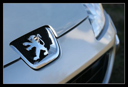 http://www.forum-peugeot.com/Forum/mesimages/20363/1779233892_5c81795ea6.jpg
