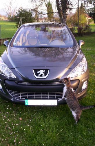 http://www.forum-peugeot.com/Forum/mesimages/20717/100_0726.jpg