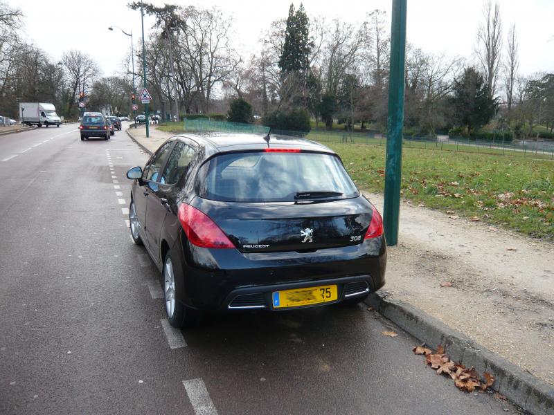 http://www.forum-peugeot.com/Forum/mesimages/20718/P1000867bis.jpg