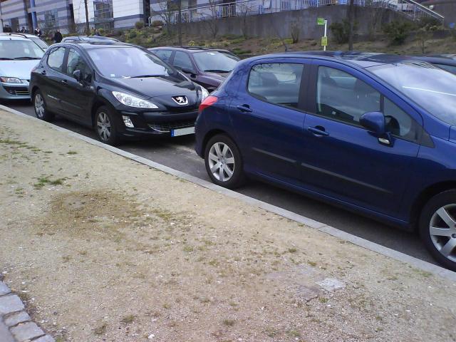 http://www.forum-peugeot.com/Forum/mesimages/21139/DSC00283.jpg