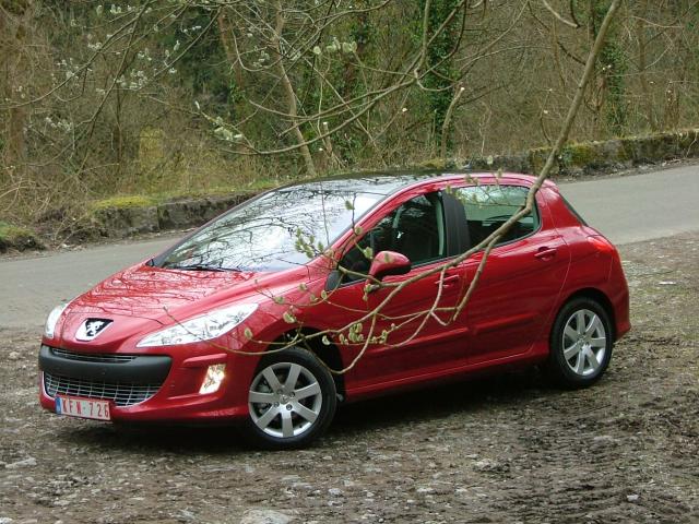 http://www.forum-peugeot.com/Forum/mesimages/22635/20030105PEUGEOT0013.jpg