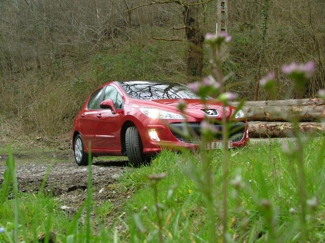 http://www.forum-peugeot.com/Forum/mesimages/22635/20030105PEUGEOT0023.jpg
