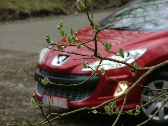 http://www.forum-peugeot.com/Forum/mesimages/22635/2003_0105PEUGEOT0015.jpg2..jpg