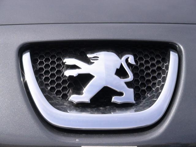 http://www.forum-peugeot.com/Forum/mesimages/23955/DSC00131.jpg