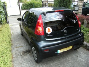 http://www.forum-peugeot.com/Forum/mesimages/26002/DSCF2859.jpg