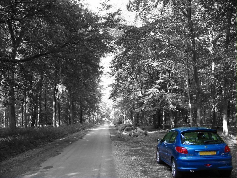 http://www.forum-peugeot.com/Forum/mesimages/3871/206.jpg http://www.forum-peugeot.com/Forum/mesimages/3871/206.jpg