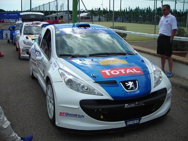 http://www.forum-peugeot.com/Forum/mesimages/6899/rossetti2.JPG
