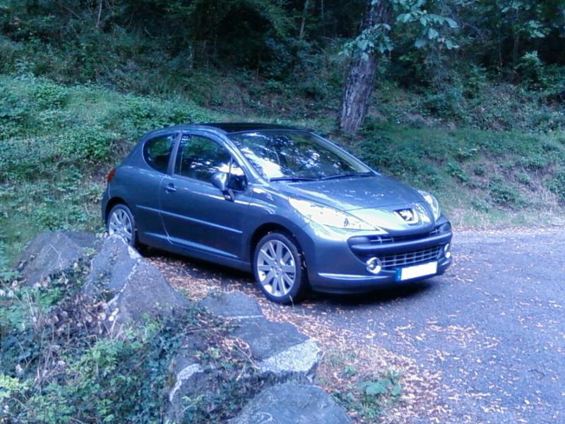 http://www.forum-peugeot.com/Forum/mesimages/7326/SP_A0145.jpg