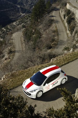 Peugeot 207 RCup Super 2000
