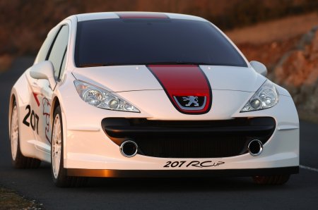 Peugeot 207 Rallye S2000