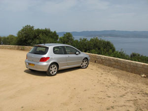 peugeot 307 Feline