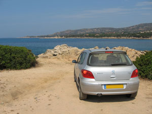 peugeot 307 Feline