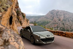 308 RC Z
