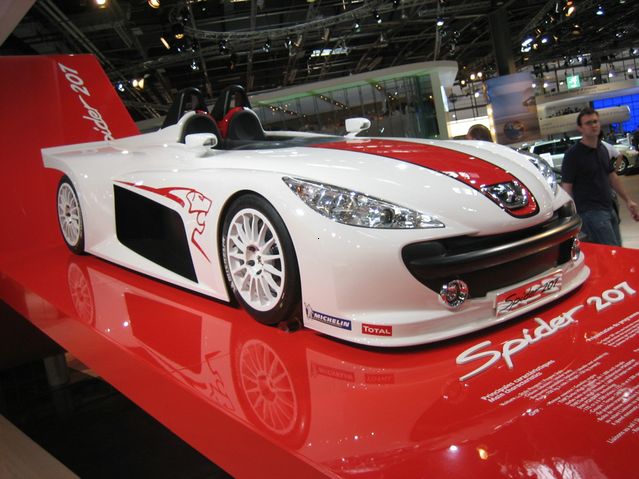 Spider 207