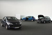 trois 308