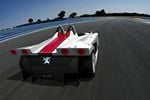 Spider 207