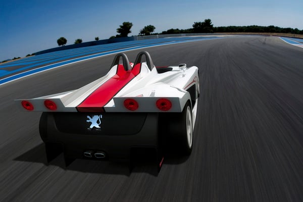 Spider 207