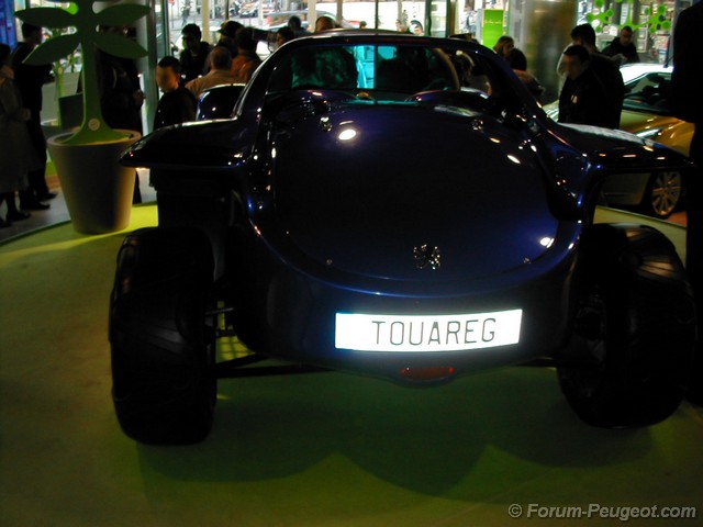 http://www.forum-peugeot.com/images/peugeot-avenue-14-03-07/DSCN3574.jpg