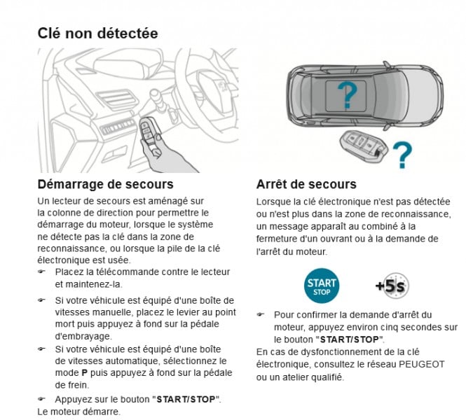 Ouest Coordonner Marguerite clé non détectée peugeot 308 Rafflesia Arnoldi véhicule Ombre