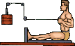 musculation-022.gif