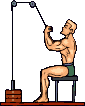 musculation-010.gif