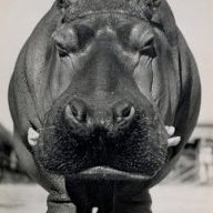 Jean-Christophe92