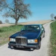 Silver Spur