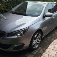 308felinet9