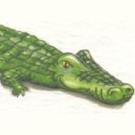 crocoludo