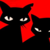 Feline