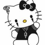 kitty