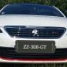 zz-308-gt