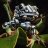 frog2050