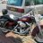 harley